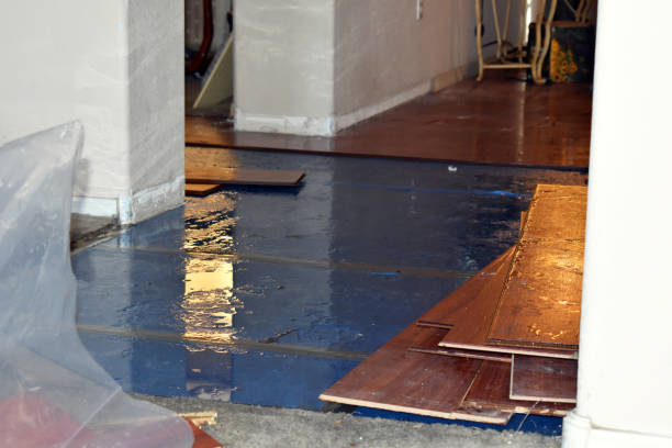 Professional Burst Pipe Cleanup technician working in Huntly, VA